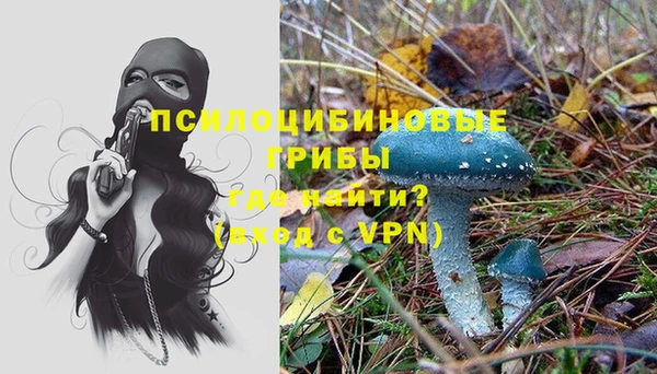 прущая мука Инта
