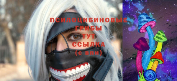 прущая мука Инта