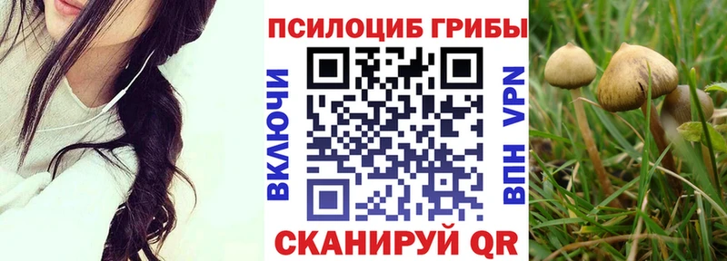 ОМГ ОМГ tor Электросталь Псилоцибиновые грибы Cubensis