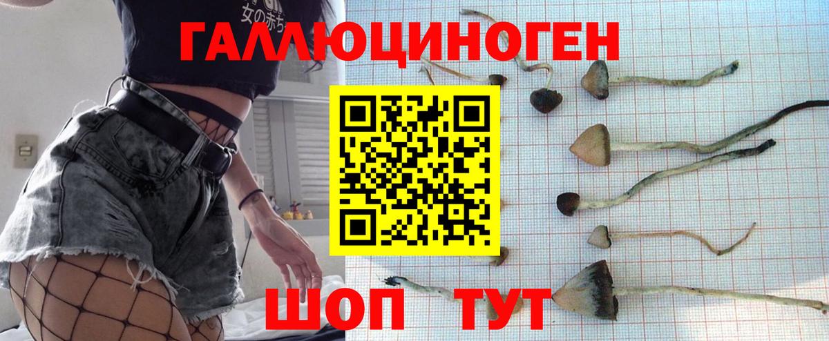 Псилоцибиновые грибы Magic Shrooms  Вход с VPN  наркошоп  Электросталь 